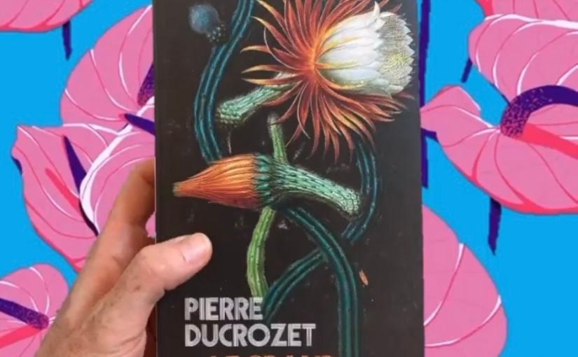 Pierre Ducrozet -LE GRAND VERTIGE